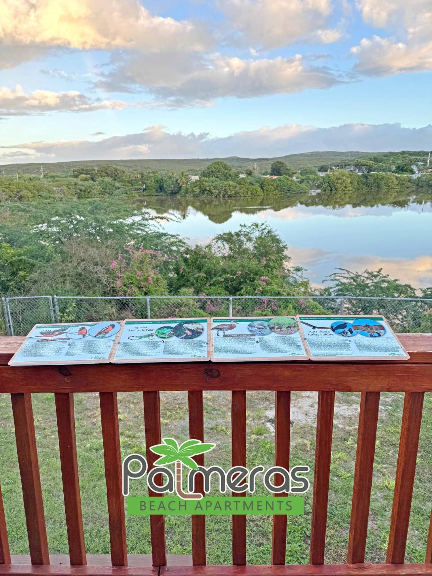 Palmeras Beach Apartments - Playa Santa غانيكا الغرفة الصورة